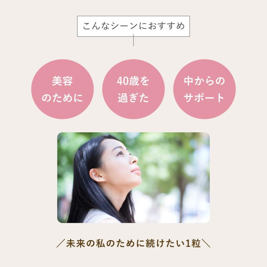 お得な2個組 美容サプリ スキングロー カプセル 60日分 アクティバ | オーガニック | 02
