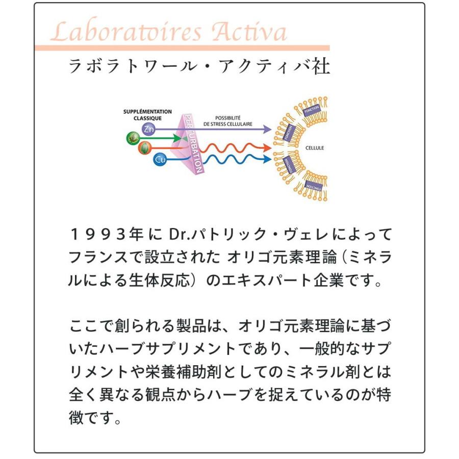美容サプリ スキングロー カプセル 30日分 アクティバ | オーガニック | 05