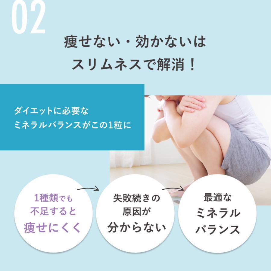 お得な2か月分 食欲 簡単 ダイエットサプリ スリムネス アクティバ お