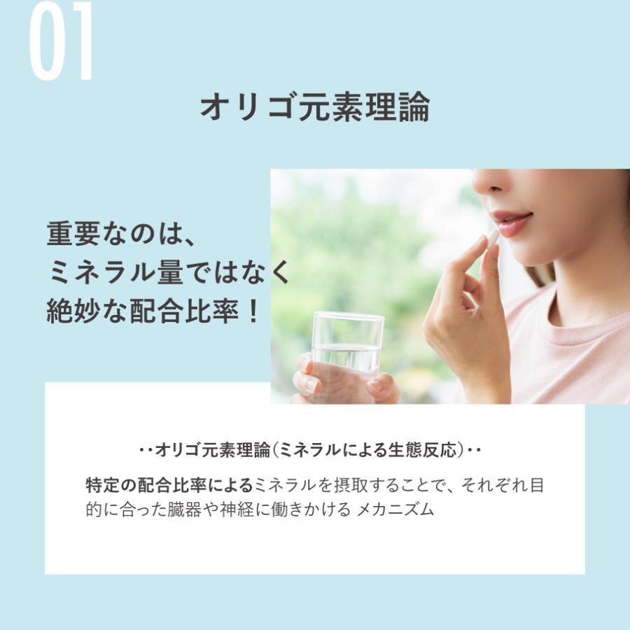もっとお得な3か月分 食欲 簡単 ダイエットサプリ スリムネス アクティバ お菓子 抑制 抑える |  | 03