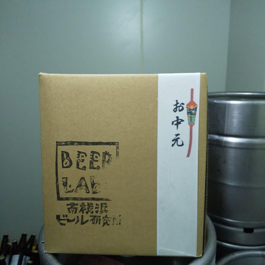 素晴らしい お中元 横浜 クラフトビール ギフト ペールエール ヴァイツェン ビターレスipa 各2本 6本セット 神奈川なでしこ Shipsctc Org