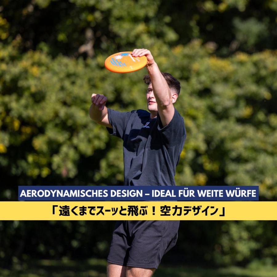 SCHILDKROT シルトクレート スピードディスク 2枚組 フライング