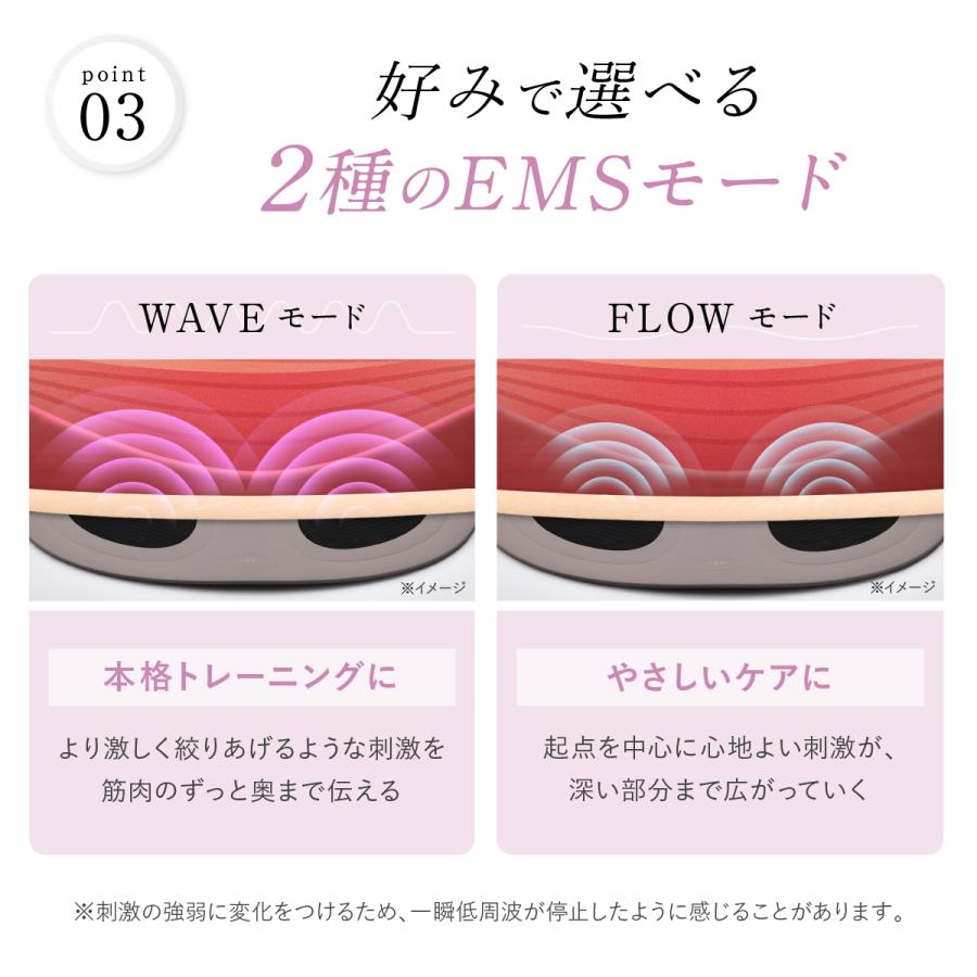 WAVEWAVE ウェーブウェーブ EMS Hydro Mat WH49-01 SPA筋トレ : BEE