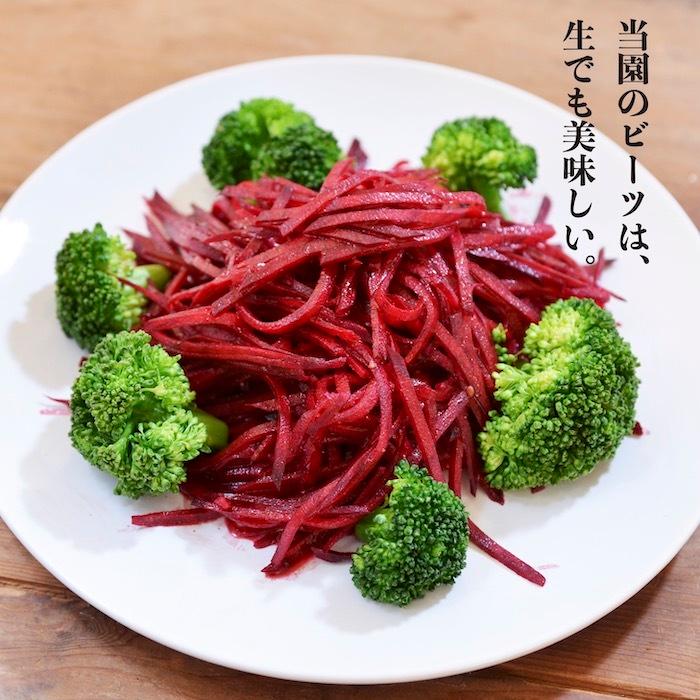 超美品の 無農薬 ちえんのうえん 【無農薬ビーツ】4kg 楽天市場