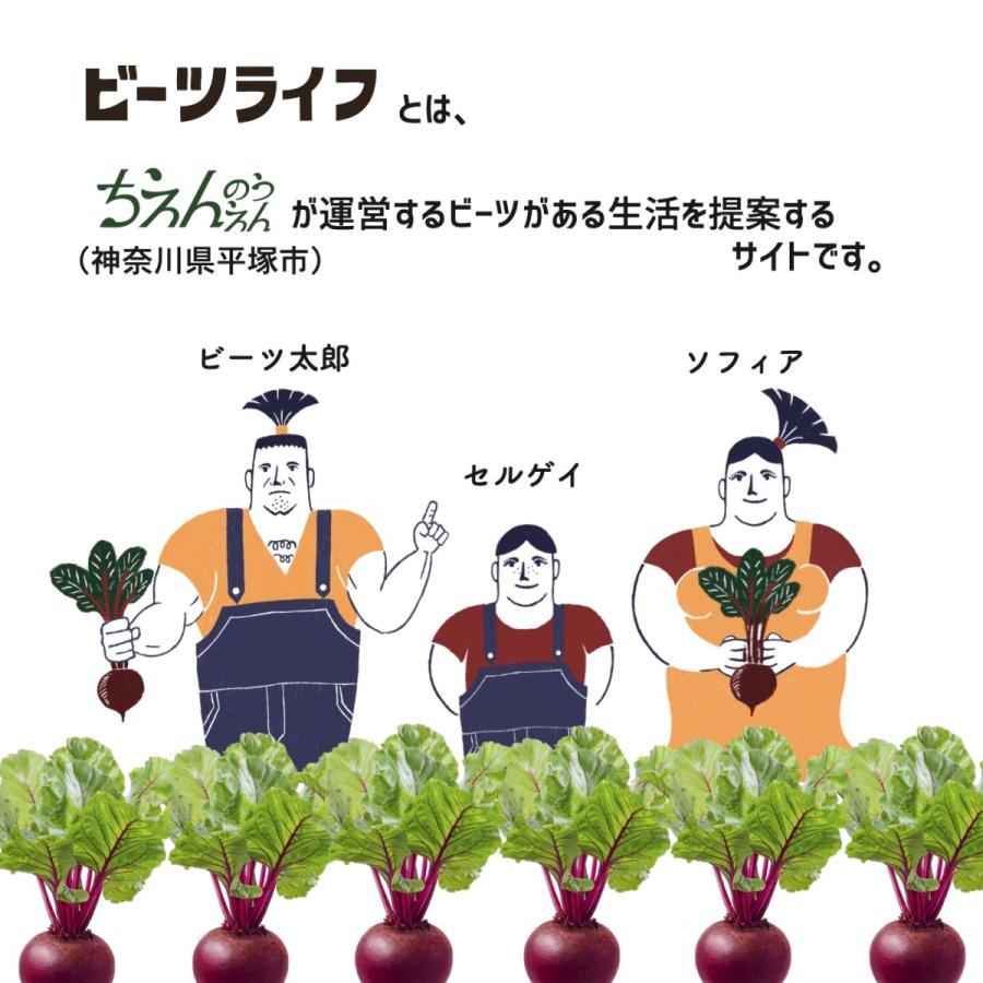 ビーツ ４kg 無農薬 ちえんのうえん 神奈川県産 農家直送 テーブルビート ビートルート 国産 スーパーフード 食べる輸血 最大85 Offクーポン