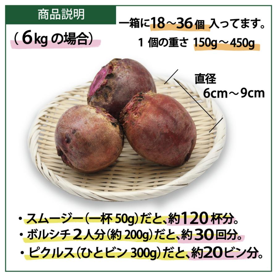 ビーツの種 野菜 スーパーフード　450g. 無農薬 ビーツの種 野菜 スーパーフード 450g. 無農薬 ビーツの種 野菜