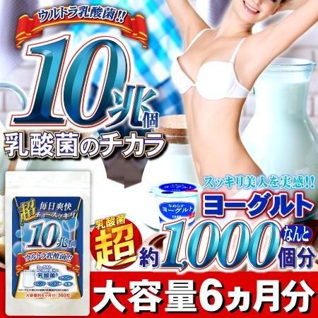 乳酸菌 サプリ ヨーグルト 【送料無料】超スッキリ１０兆個ウルトラ乳酸菌（大容量約6ヵ月分/360粒）ダイエット サプリメント EC12｜beety