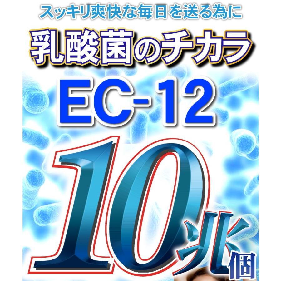 乳酸菌 サプリ ヨーグルト 【送料無料】超スッキリ１０兆個ウルトラ乳酸菌（大容量約6ヵ月分/360粒）ダイエット サプリメント EC12｜beety｜08