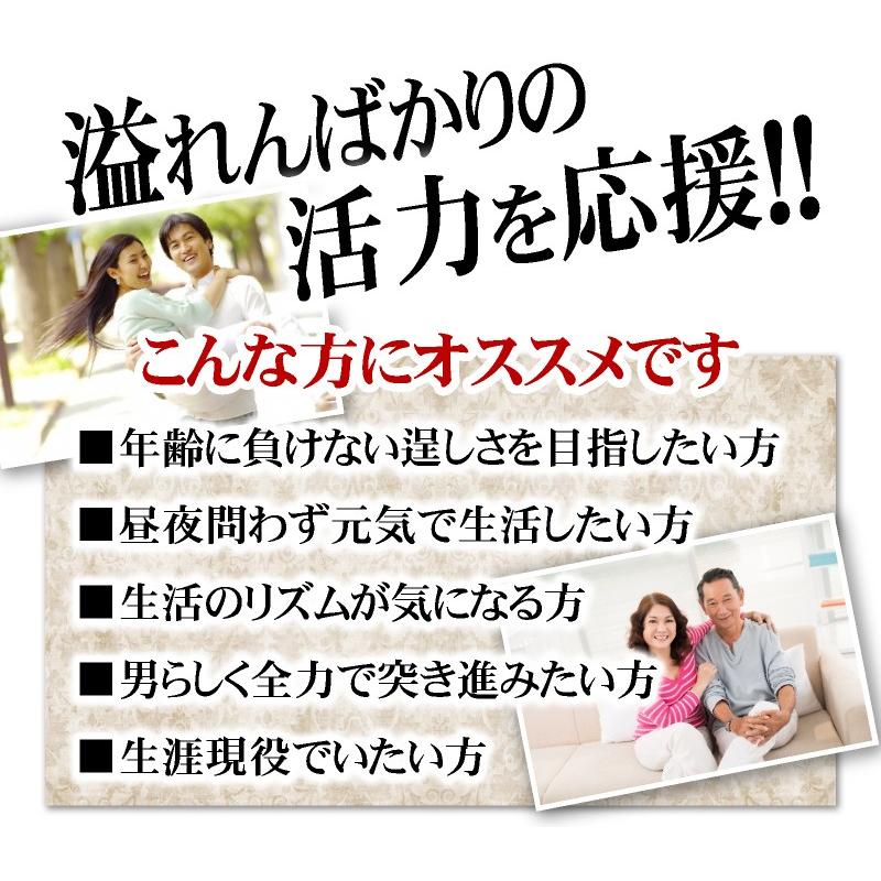 マカ サプリ サプリメント 送料無料 13種マカ豪快オールスター 約6ヵ月分/360粒 高麗人参 すっぽん 亜鉛 L-シトルリン｜beety｜18