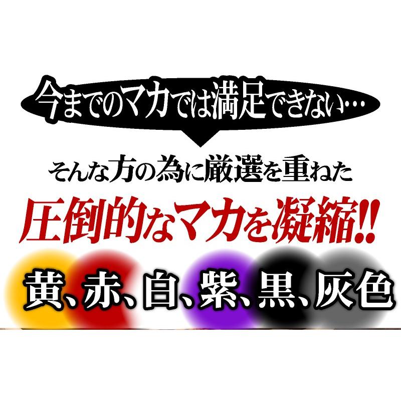 マカ サプリ サプリメント 送料無料 13種マカ豪快オールスター 約6ヵ月分/360粒 高麗人参 すっぽん 亜鉛 L-シトルリン｜beety｜09