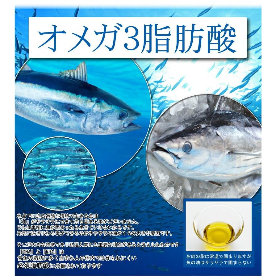 Dha Epa オメガ3 オメガ6 オメガ7 オメガ9 サプリメント メール便送料無料 オールインワンオメガ 大容量約6ヵ月分 180粒 青魚 All In One Omega ビーティー 通販 Yahoo ショッピング