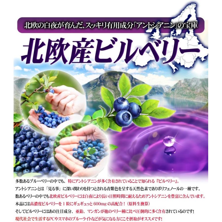 ビルベリーサプリ お試し 1粒600mg 高配合【メール便送料無料】100倍濃縮ビルベリー&ルテイン |  | 09