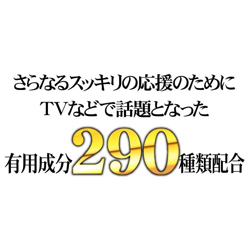 ビルベリーサプリ お試し 1粒600mg 高配合【メール便送料無料】100倍濃縮ビルベリー&ルテイン |  | 11