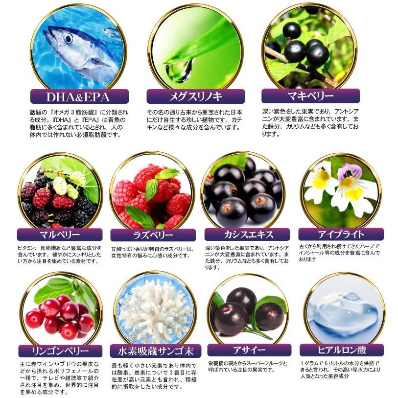 ビルベリーサプリ お試し 1粒600mg 高配合【メール便送料無料】100倍濃縮ビルベリー&ルテイン |  | 13