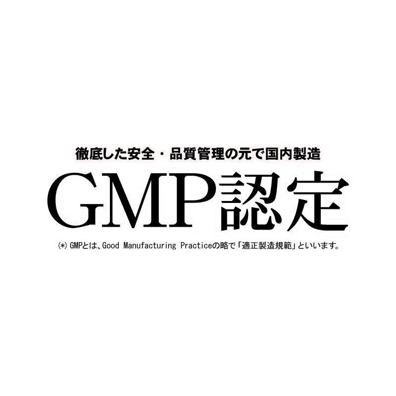 ビルベリーサプリ お試し 1粒600mg 高配合【メール便送料無料】100倍濃縮ビルベリー&ルテイン |  | 15