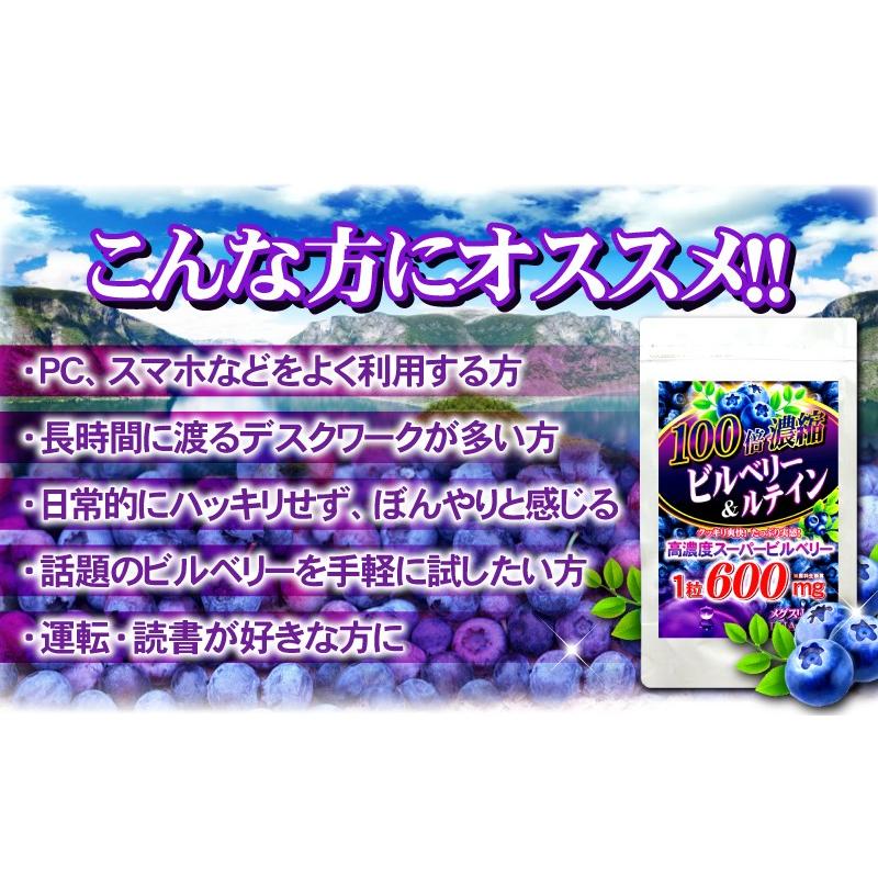 ビルベリーサプリ お試し 1粒600mg 高配合【メール便送料無料】100倍濃縮ビルベリー&ルテイン |  | 17
