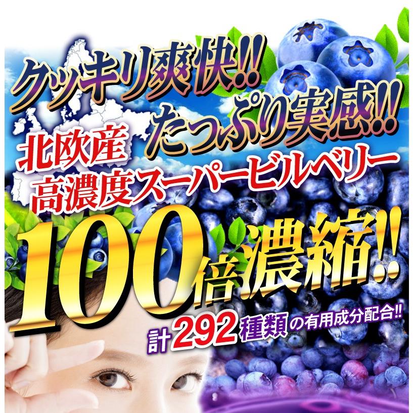 ビルベリーサプリ お試し 1粒600mg 高配合【メール便送料無料】100倍濃縮ビルベリー&ルテイン |  | 01