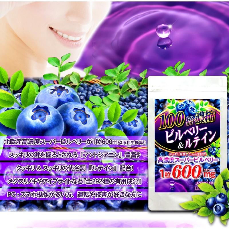 ビルベリーサプリ お試し 1粒600mg 高配合【メール便送料無料】100倍濃縮ビルベリー&ルテイン |  | 02