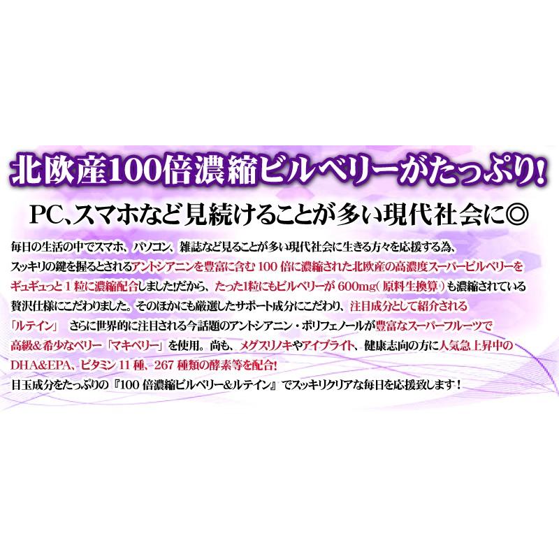 ビルベリーサプリ お試し 1粒600mg 高配合【メール便送料無料】100倍濃縮ビルベリー&ルテイン |  | 03