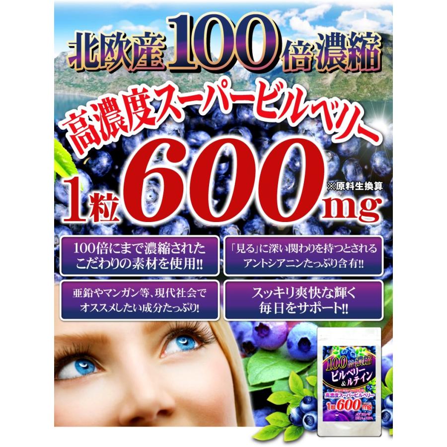 ビルベリーサプリ お試し 1粒600mg 高配合【メール便送料無料】100倍濃縮ビルベリー&ルテイン |  | 04