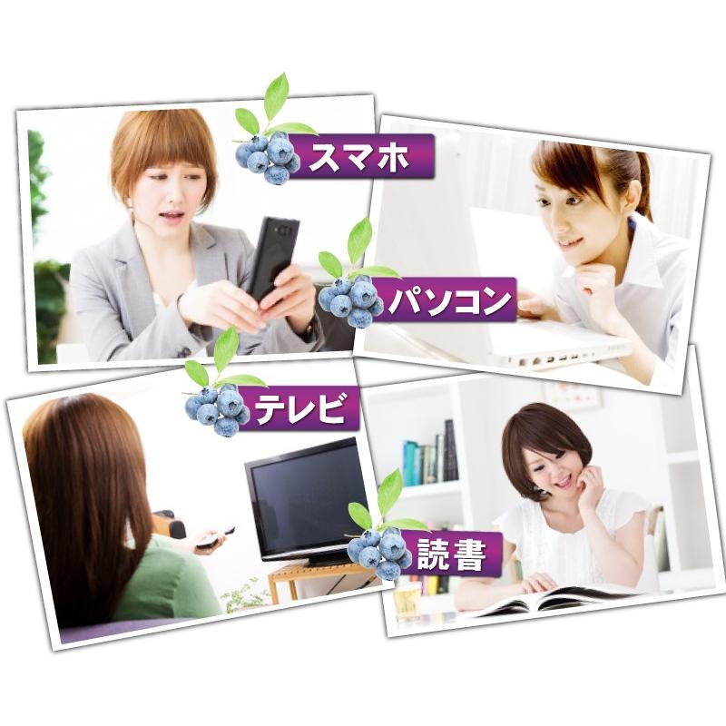 ビルベリーサプリ お試し 1粒600mg 高配合【メール便送料無料】100倍濃縮ビルベリー&ルテイン |  | 06