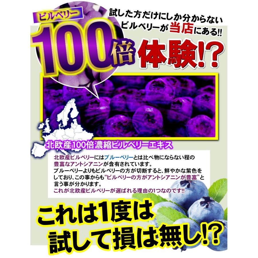 ビルベリー サプリ サプリメント 送料無料 ビルベリー ＆ ルテイン PLUSコンドロイチン エキス 約6ヵ月分/360粒｜beety｜12