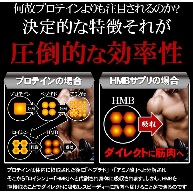 HMB サプリメント【メール便送料無料】HMBチャレンジャー【大容量パック：360粒/約6ヵ月分】  ダイエット 筋トレ プロテイン |  | 14