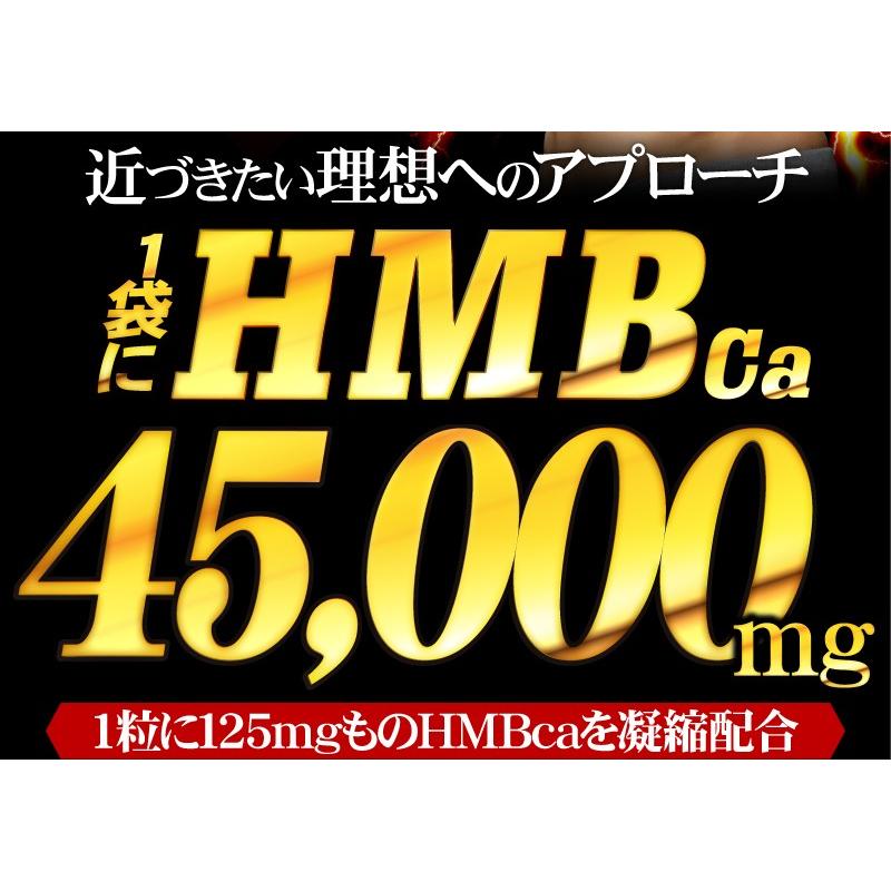 HMB サプリメント【メール便送料無料】HMBチャレンジャー【大容量パック：360粒/約6ヵ月分】  ダイエット 筋トレ プロテイン |  | 05