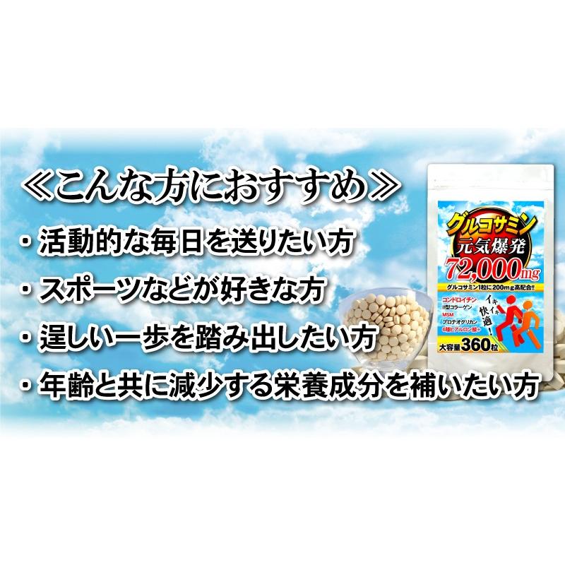 グルコサミン コンドロイチン サプリメント 送料無料 グルコサミン72,000（大容量360粒） ヒアルロン酸｜beety｜12