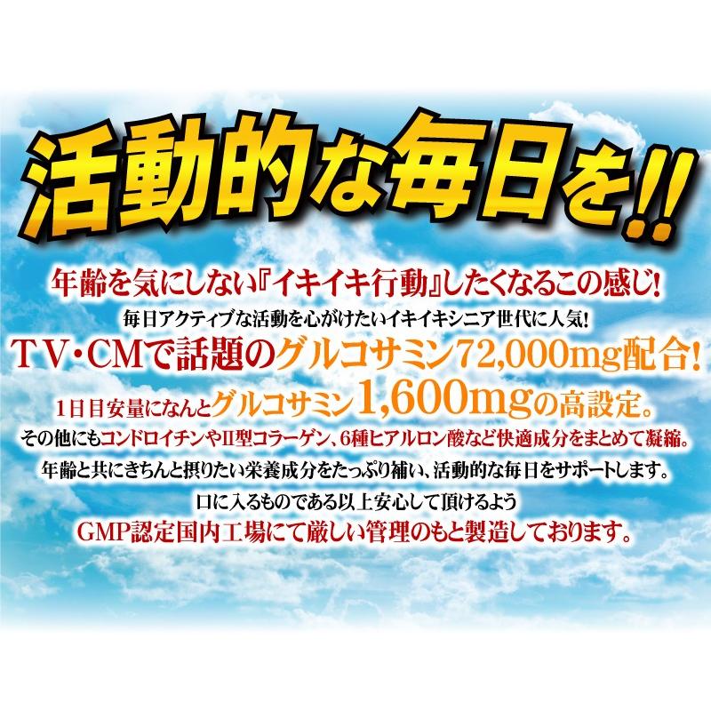 グルコサミン コンドロイチン サプリメント 送料無料 グルコサミン72,000（大容量360粒） ヒアルロン酸｜beety｜04