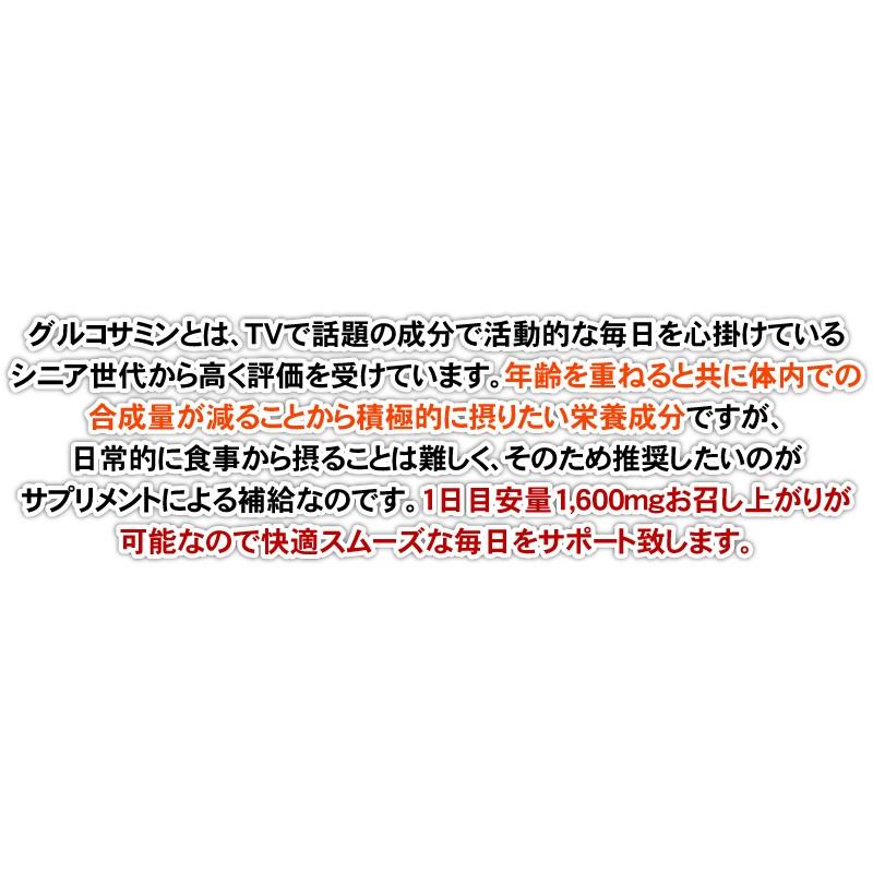 グルコサミン コンドロイチン サプリメント 送料無料 グルコサミン72,000（大容量360粒） ヒアルロン酸｜beety｜07