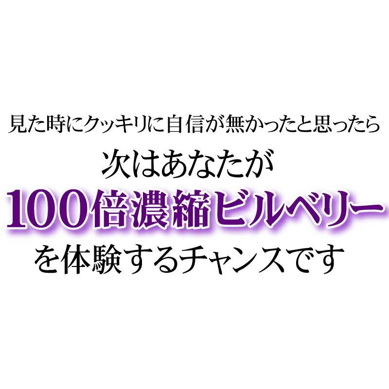 ビルベリー サプリ 水素 ルテイン  【メール便送料無料】北欧産100倍濃縮ビルベリーPLUS水素（大容量約6ヵ月分/360粒）｜beety｜08