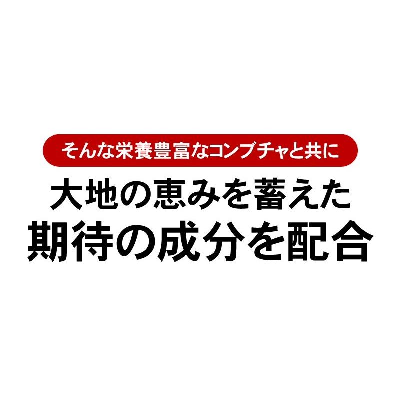 コンブチャ サプリ クレンズ ダイエット サプリメント 約6ヵ月分/360粒  穀物麹 酵素 乳酸菌 紅茶キノコ｜beety｜05