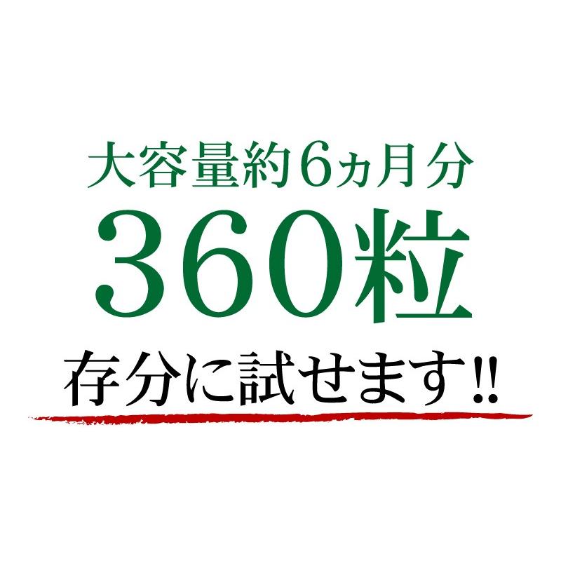 酵素 サプリ （大容量約6ヵ月分/360粒）サプリメント 野草酵素 送料無料  酵素粒377 お得 お買い得 ダイエット |  | 09