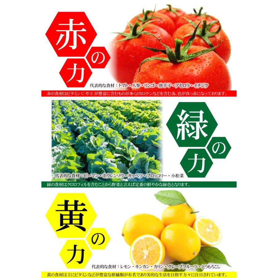 酵素 サプリ （大容量約6ヵ月分/360粒）サプリメント 野草酵素 送料無料  酵素粒377 お得 お買い得 ダイエット |  | 12