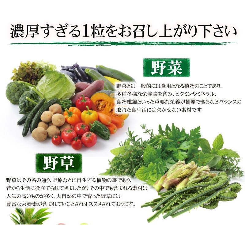 酵素 サプリ （大容量約6ヵ月分/360粒）サプリメント 野草酵素 送料無料  酵素粒377 お得 お買い得 ダイエット |  | 15