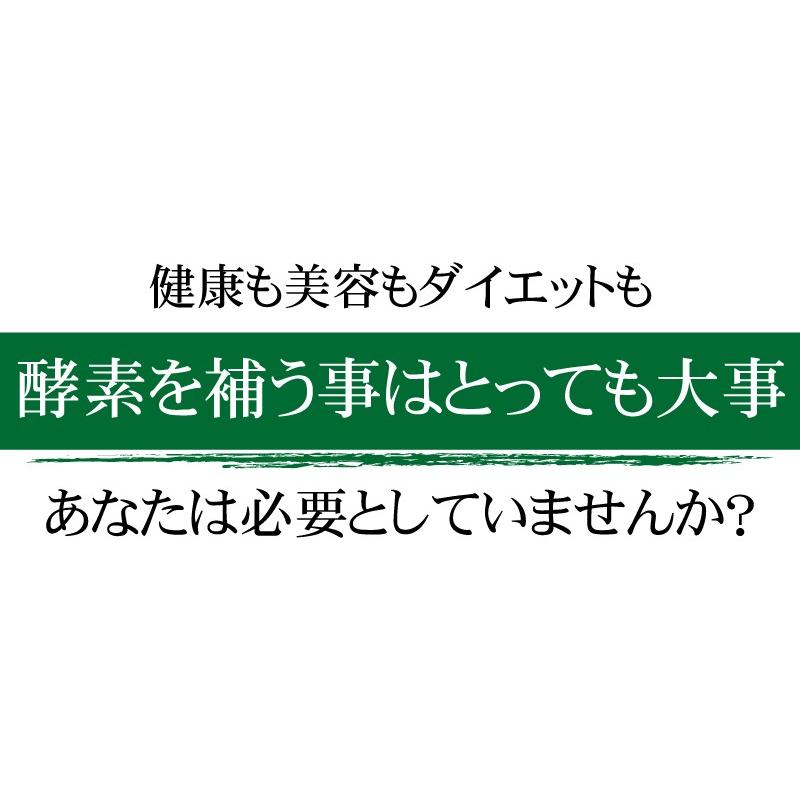 酵素 サプリ （大容量約6ヵ月分/360粒）サプリメント 野草酵素 送料無料  酵素粒377 お得 お買い得 ダイエット |  | 17
