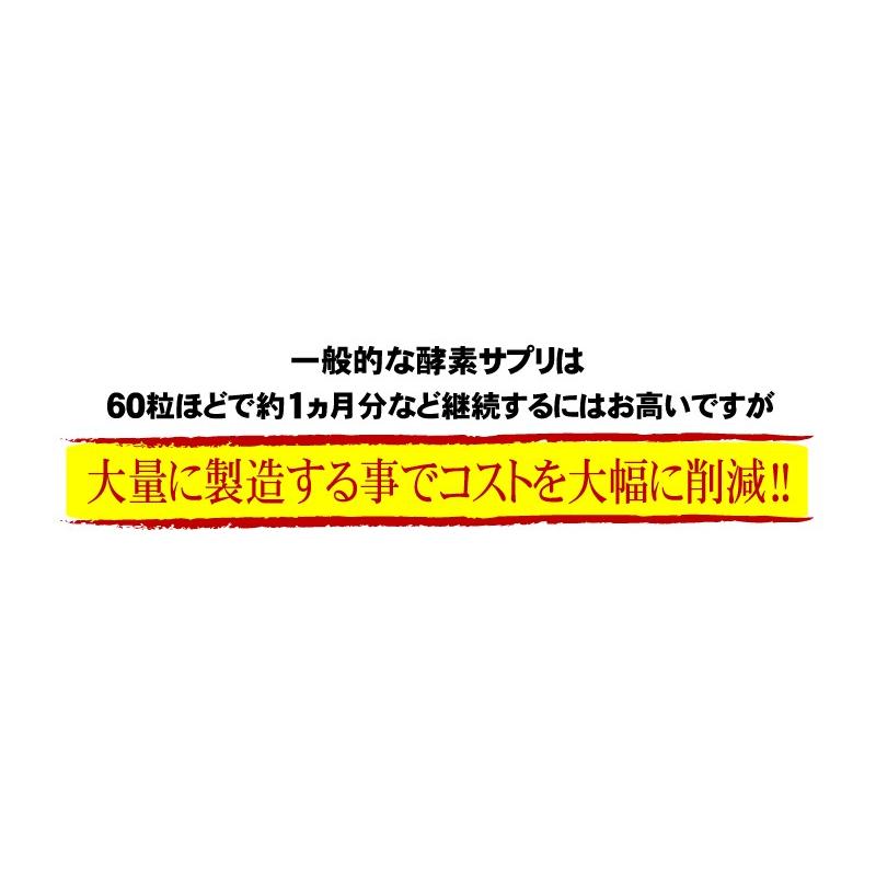 酵素 サプリ （大容量約6ヵ月分/360粒）サプリメント 野草酵素 送料無料  酵素粒377 お得 お買い得 ダイエット |  | 08