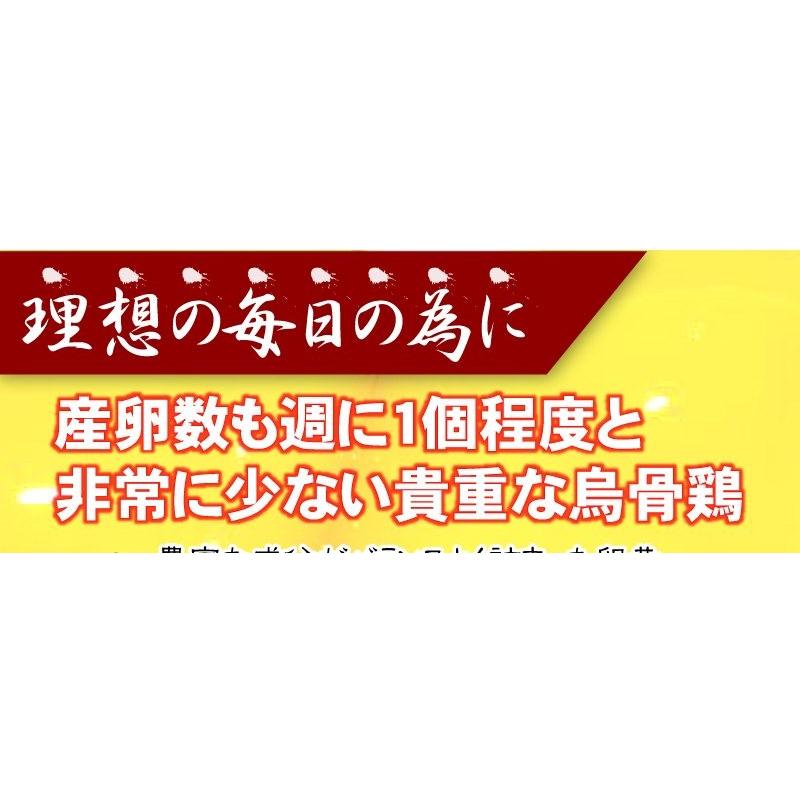 ニンニク サプリ 黒にんにく 卵黄　DHA EPA 烏骨鶏卵黄（大容量6ヵ月分/360粒）  サプリメント 送料無料 |  | 10