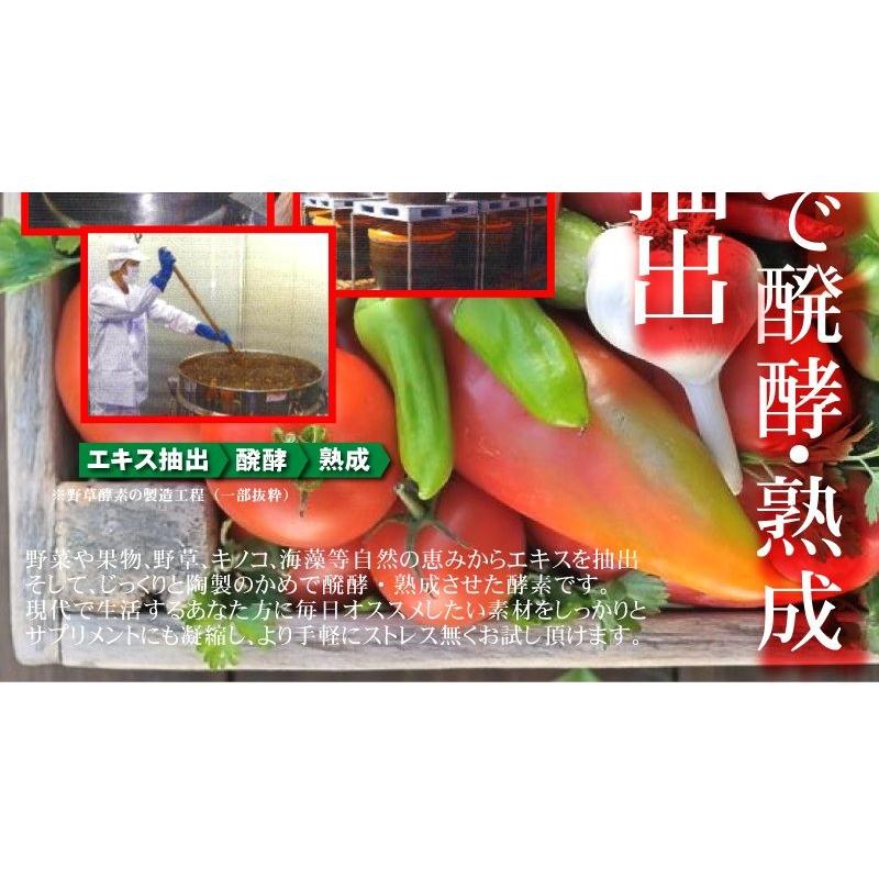 ニンニク サプリ 黒にんにく 卵黄 DHA EPA 烏骨鶏卵黄(大容量6 ニンニク サプリ 黒にんにく 卵黄 DHA EPA 烏骨鶏卵黄(大容量6