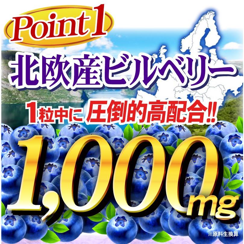 ビルベリー サプリメント ルテイン（大容量約6ヵ月分/180粒