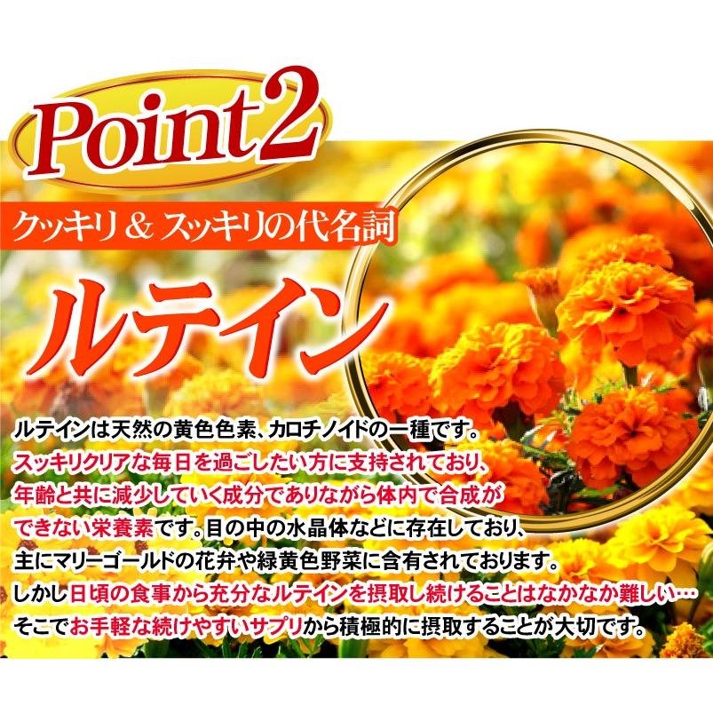 ビルベリー サプリメント ルテイン（大容量約6ヵ月分/180粒