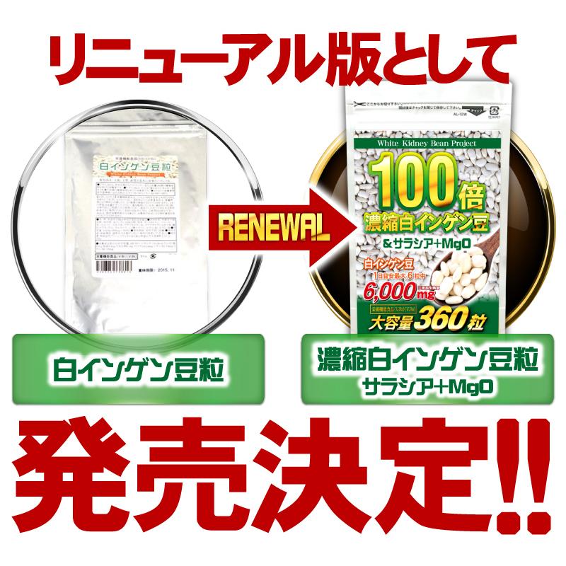 白いんげん豆 サプリ ダイエット サラシア +MgO（360粒