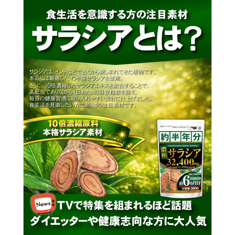 濃縮サラシア（約6ヵ月分/360粒）白インゲン豆 ダイエット