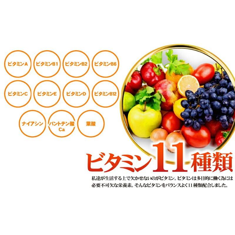 送料無料】 醗酵黒にんにく 烏骨鶏卵黄 サプリメント にんにく