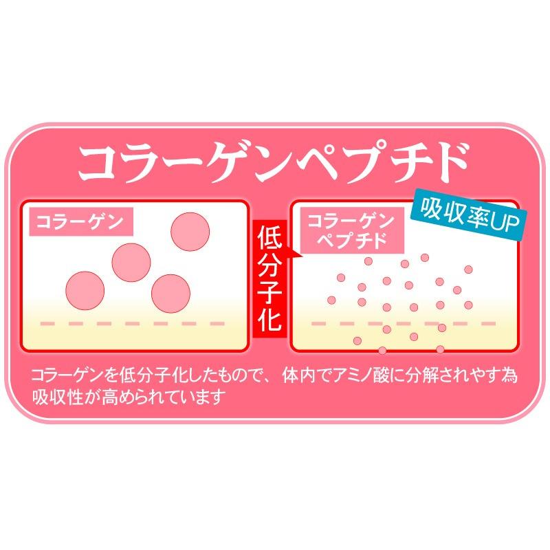 すっぽん サプリ サプリメント 低分子 コラーゲン【大容量約6ヵ月分/360粒入り】ローヤルゼリー アサイー プロポリス｜beety｜04