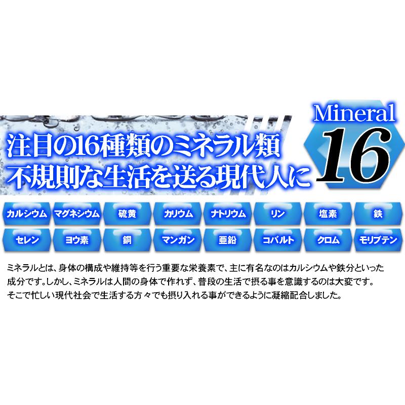 ユーグレナ みどりむし お試し サプリメント ダイエット （60粒入り/ユーグレナの挑戦） ミドリムシ｜beety｜16