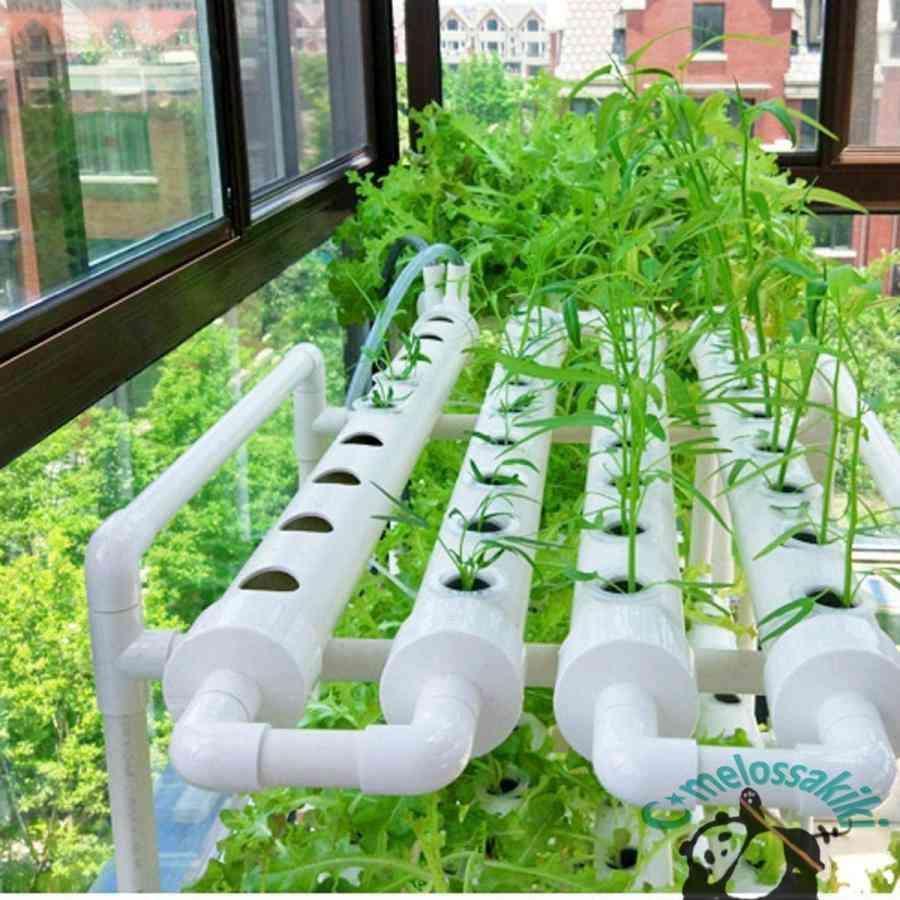 水耕栽培キット 水耕栽培 植物 野菜用具 植物育成 家庭菜園 室内 ベランダ 水耕栽培セット (108穴) |  | 01
