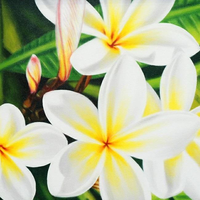 絵画 バリ絵画 花 プルメリア フランジパニ 額入り 額付 パネルアート モダンアート アートフレーム 壁掛け 壁飾り |  | 01