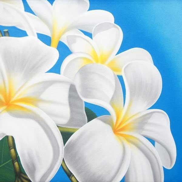 絵画 バリ絵画 南国 リゾート 花 プルメリア フランジパニ 額入り 額付 パネルアート モダンアート アートフレーム 壁掛け 壁飾り |  | 01